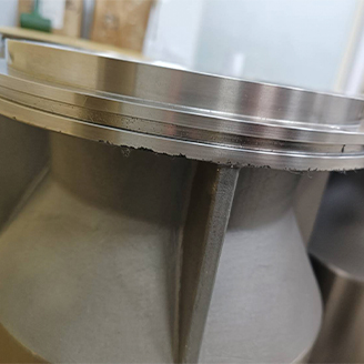 Pores and Carbon Inclusions